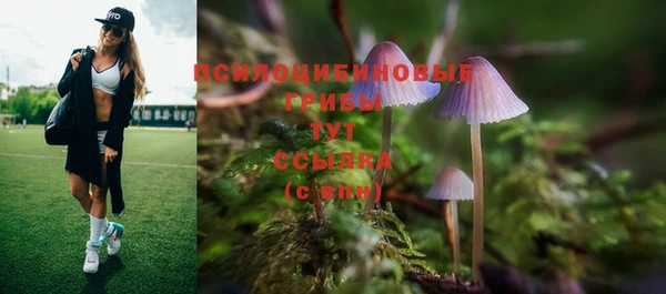 таблы Абаза